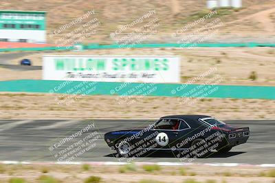 media/May-18-2022-Open Track Racing (Wed) [[f96b7d3cf4]]/3-Red/session 2/Willow pans/